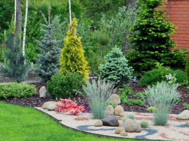 дизайн ели на участке