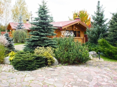 ель в ландшафтном дизайне