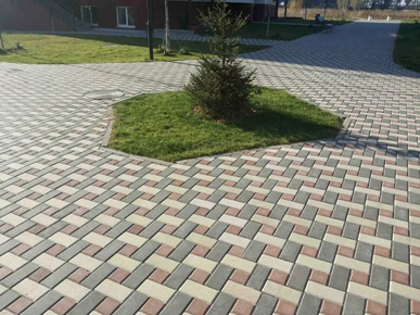 ошибки в дизайне сада