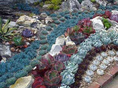 основные недочеты в ландшафтном дизайне