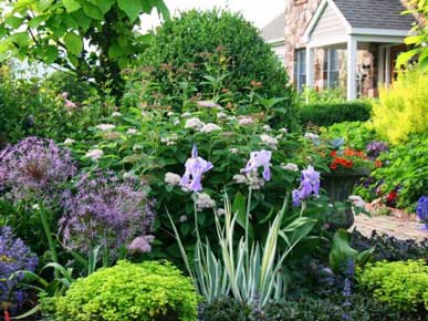 ошибки в дизайне сада