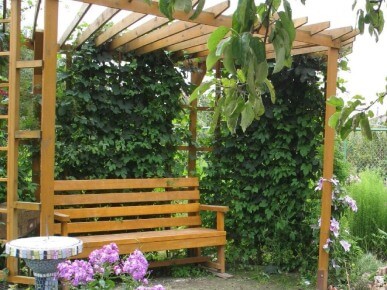 пергола в ландшафтном дизайне