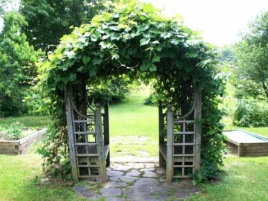 металлические перголы в ландшафтном дизайне