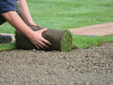 почему используют рулонный газон