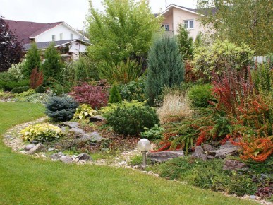 природный дизайн сада