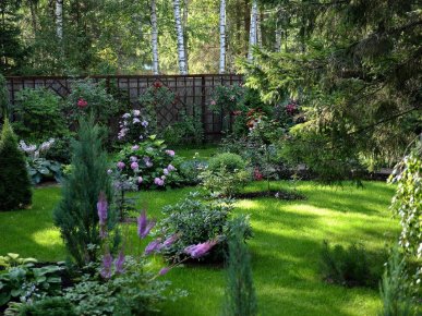 экостиль в ландшафтном дизайне