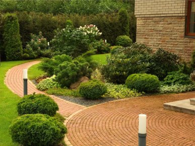 тенденциии ландшафтного дизайна 2024