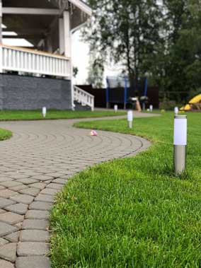 тенденции 2020