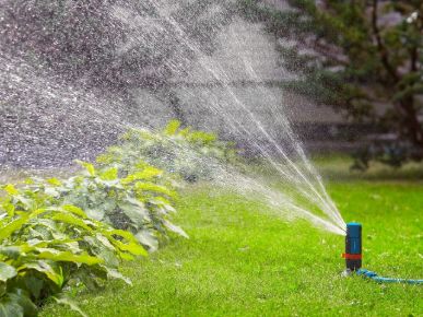 тенденции ландшафтный дизайн 2026