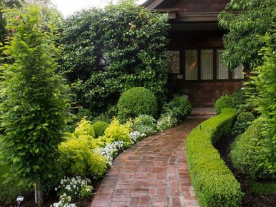 тренды ландшафтного дизайна 2025