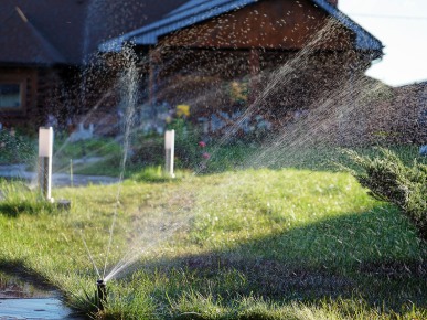 тренды в ландшафтном дизайне на 2025 год