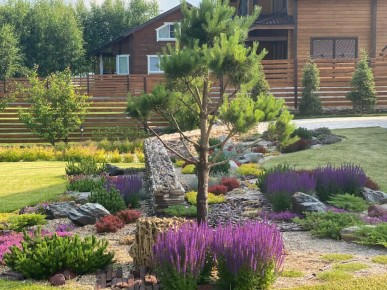 вереск в ландшафтном дизайне