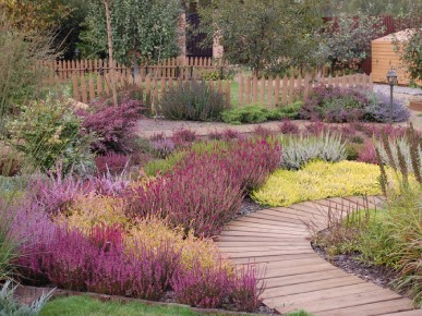 вереск обыкновенный в ландшафтном дизайне