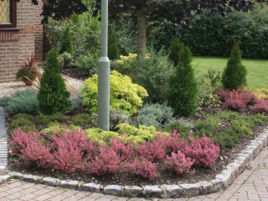 вереск в дизайне сада