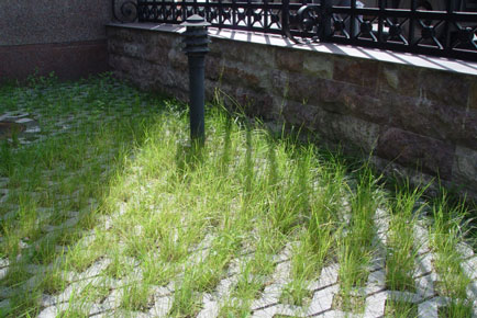 экопарковка под ключ