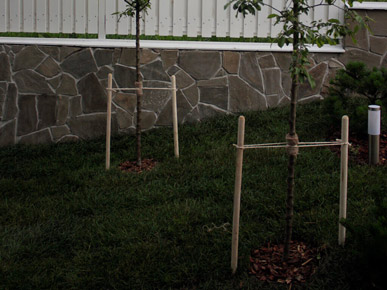 установка забора по недорогой стоимости