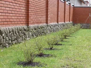 заказать установку забора на даче