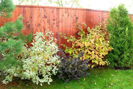 цена на устройство забора на участке