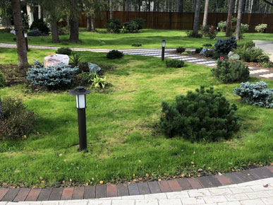 Ландшафтное освещение в СПб