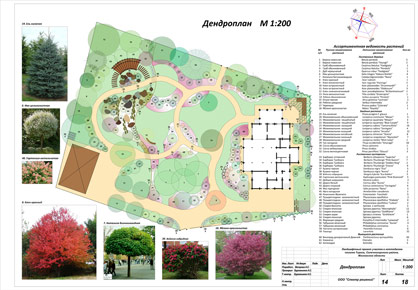 Разработка дендроплана 