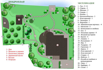 Дендроплан ландшафтного проекта