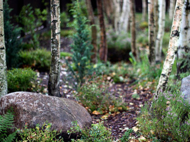 Озеленение и уход