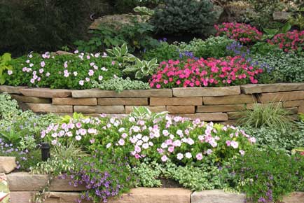 цена на устройство клумбы