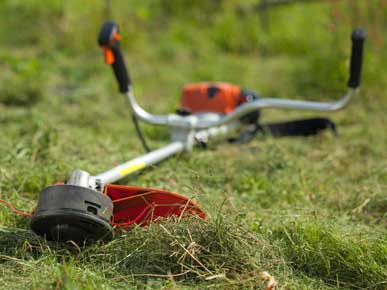 заказать покос травы