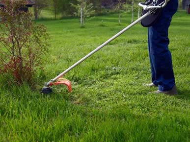 стоимость покоса травы в СПб