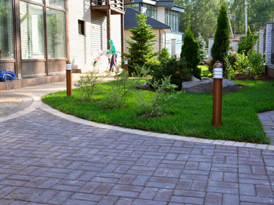 Заказать посадку кустарников в СПб