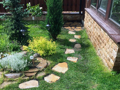 Посадка цветочных растений в СПб