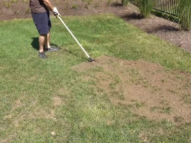 восстановление газона