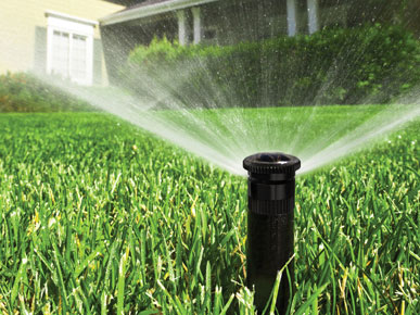 заказать установку автополива