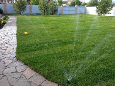 устройство автополива в СПб