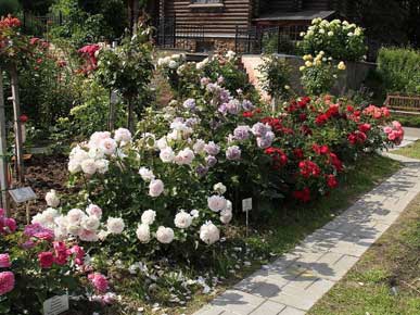 цена на устройство розариев