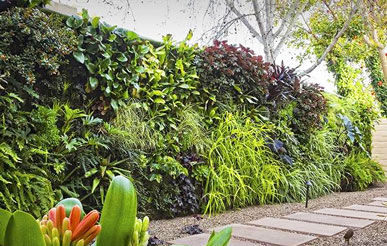 заказать вертикальное озеленение на даче